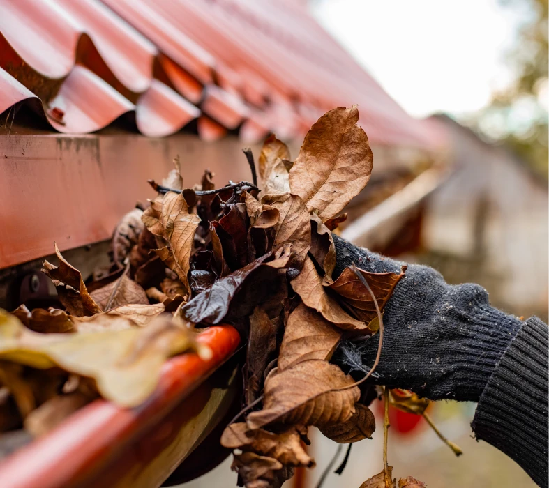 Cleaning leaves from a gutter